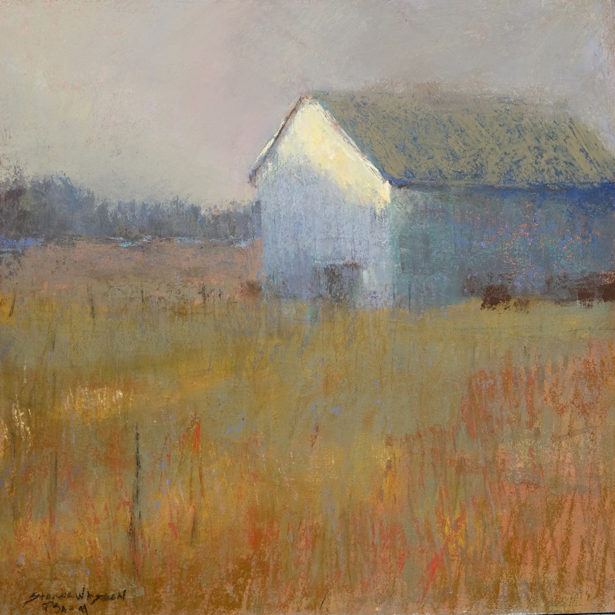Discovering the Light by carol strock wasson 