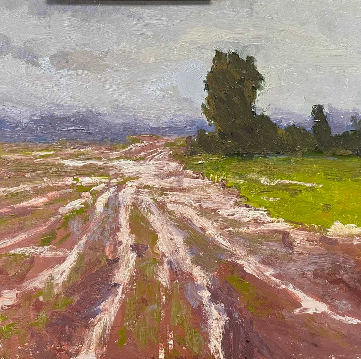 Rain in the Furrows by carol strock wasson 