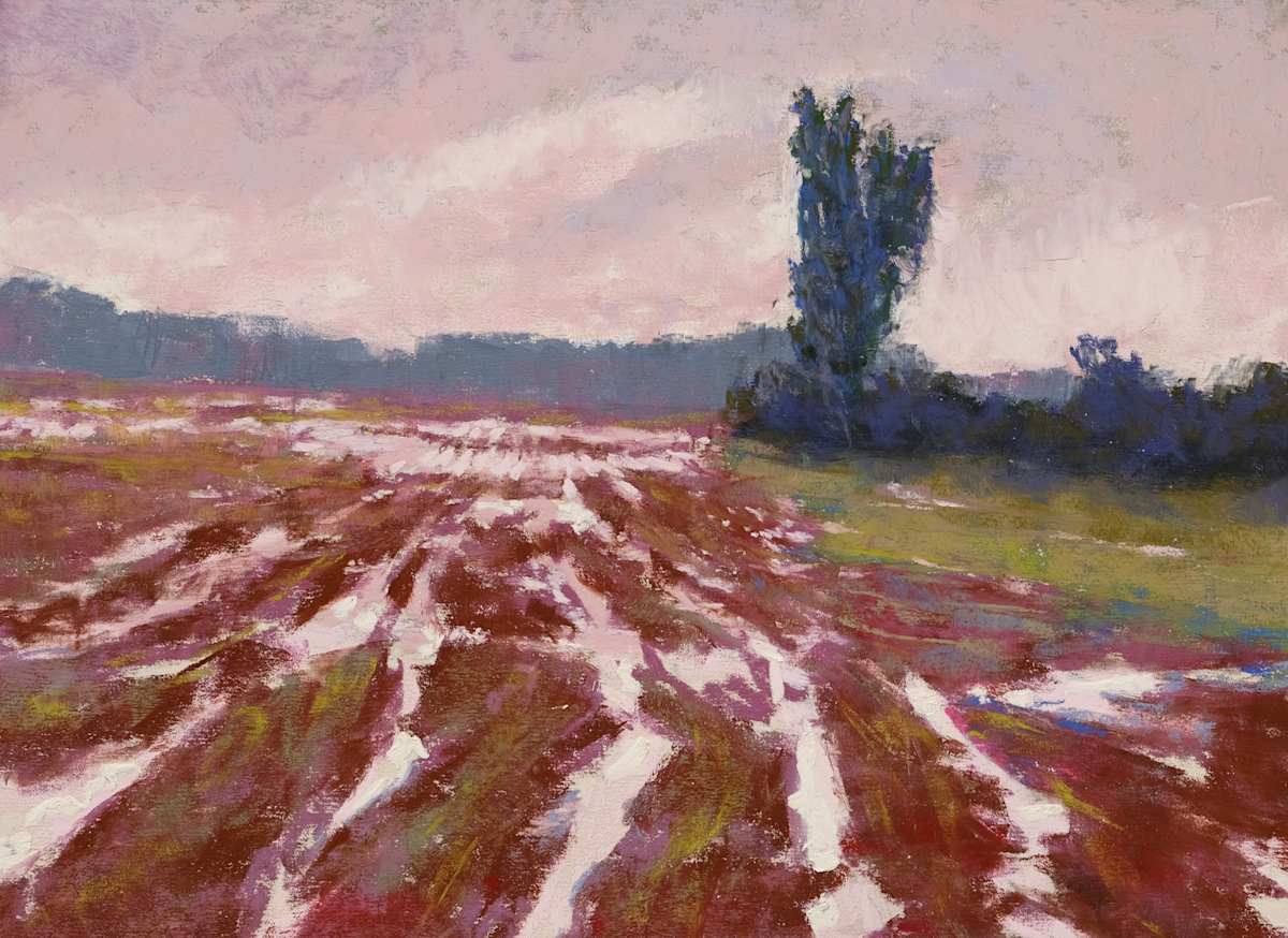 Rainy Field by carol strock wasson 