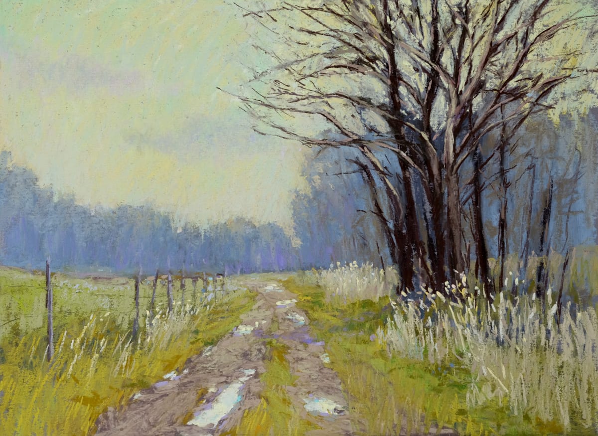 Spring Path by carol strock wasson 