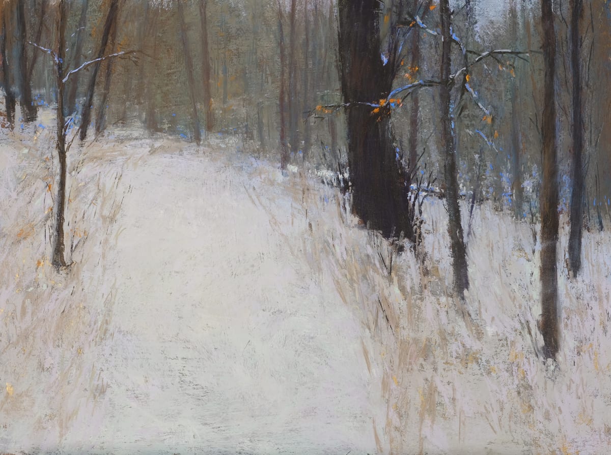 Worth Family Nature Preserve WInter by carol strock wasson  Image: The preserve is a incredibly simple yet beautiful place to walk and enjoy winter. I am lucky enough to live near some of the Darke County Parks. With this painting my hope was to capture the quiet feel of a typical snow-covered path in the preserve. I used a variety of techniques under the pastel. If you look closely, you will find gold acrylic paint under some of the snow. I felt the gold was a vital part of the painting, showing the hidden richness of the natural world, sometimes we don’t even see it until we stop and pay attention. 
