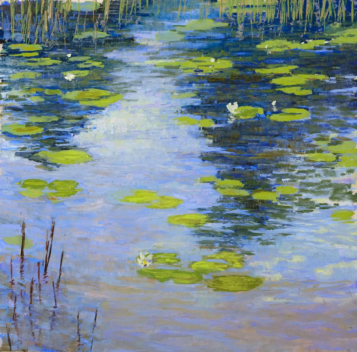 Waterlilies and Reflections by carol strock wasson 