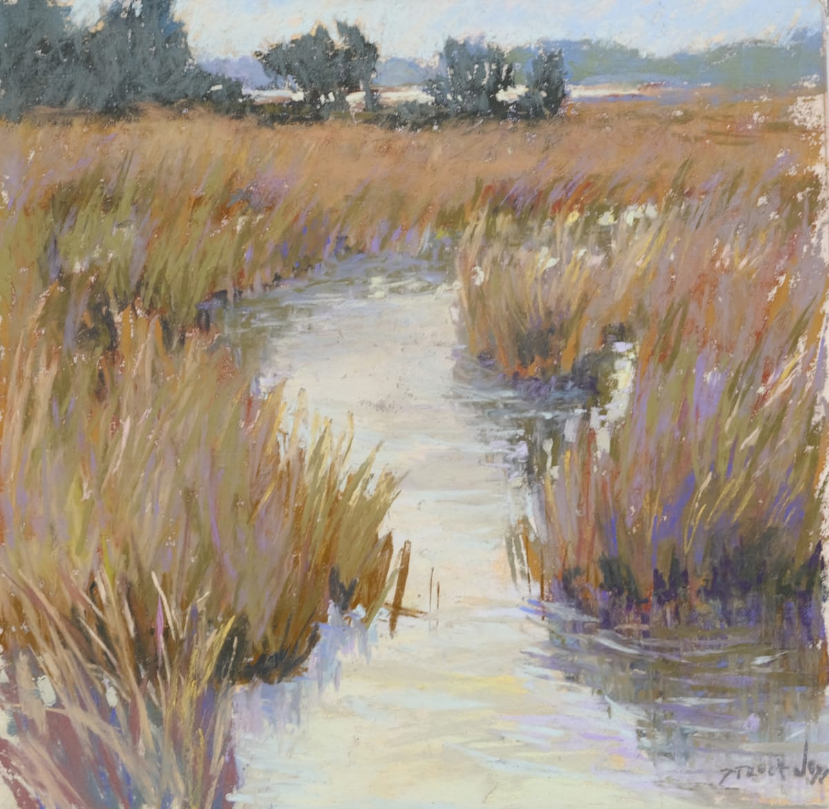 Wetlands by carol strock wasson 