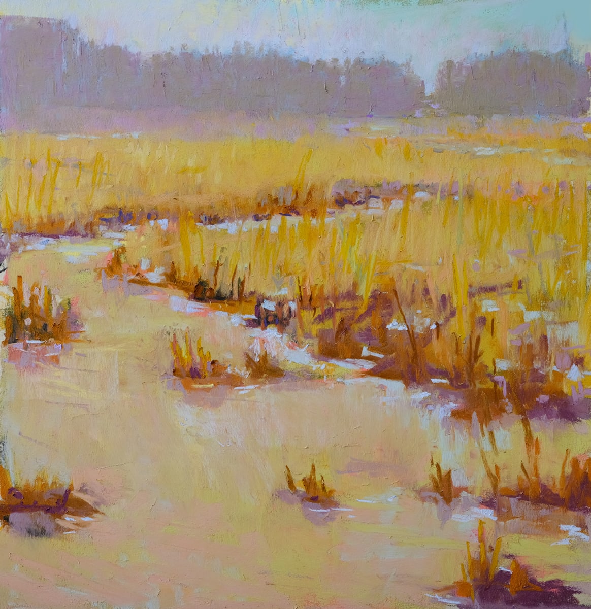 Flooded Fields 2 by carol strock wasson 