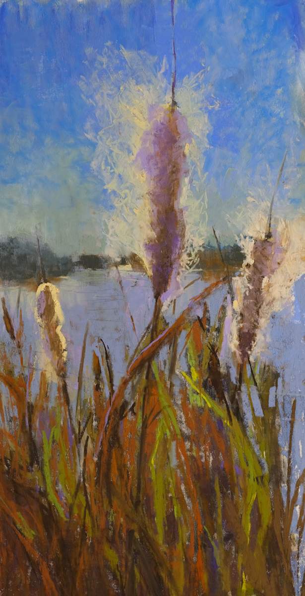Cattails gone to Seed by carol strock wasson 