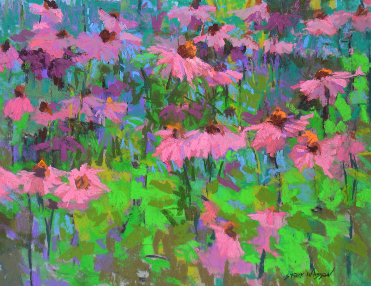 Echinacea Dance by carol strock wasson, Image 1.