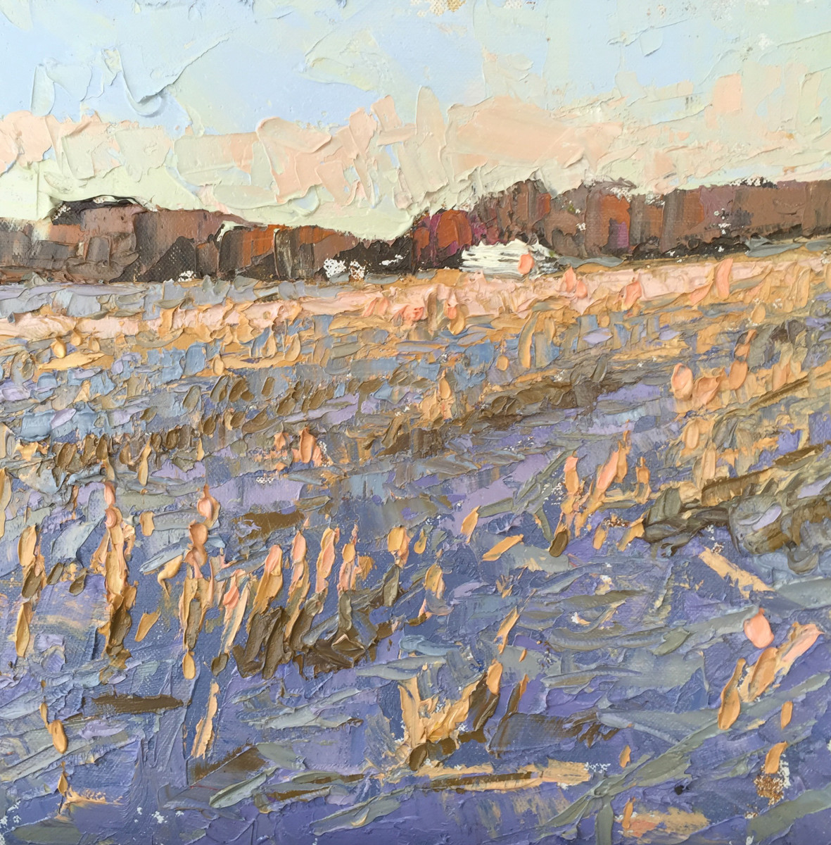 24 DEGREES by carol strock wasson 