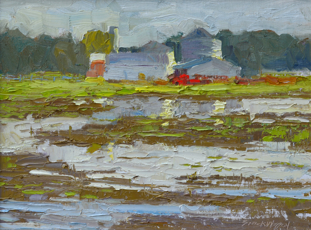 Flooded Fields by carol strock wasson 