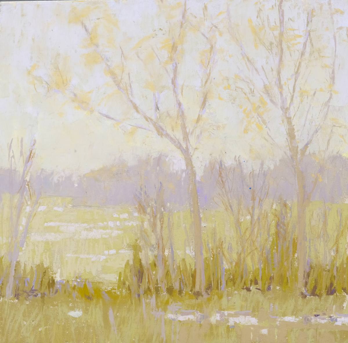 Hazy Morning Early Spring by carol strock wasson 