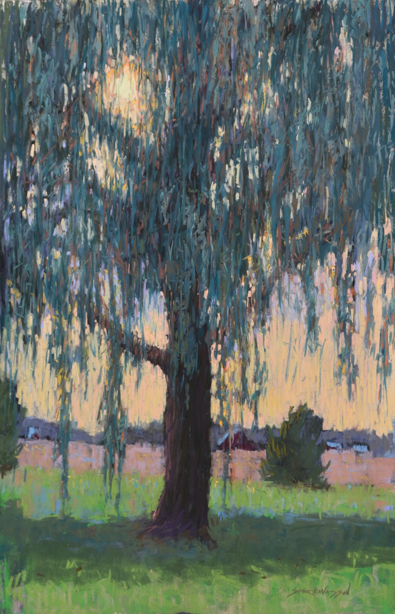 Evening Light  by carol strock wasson 