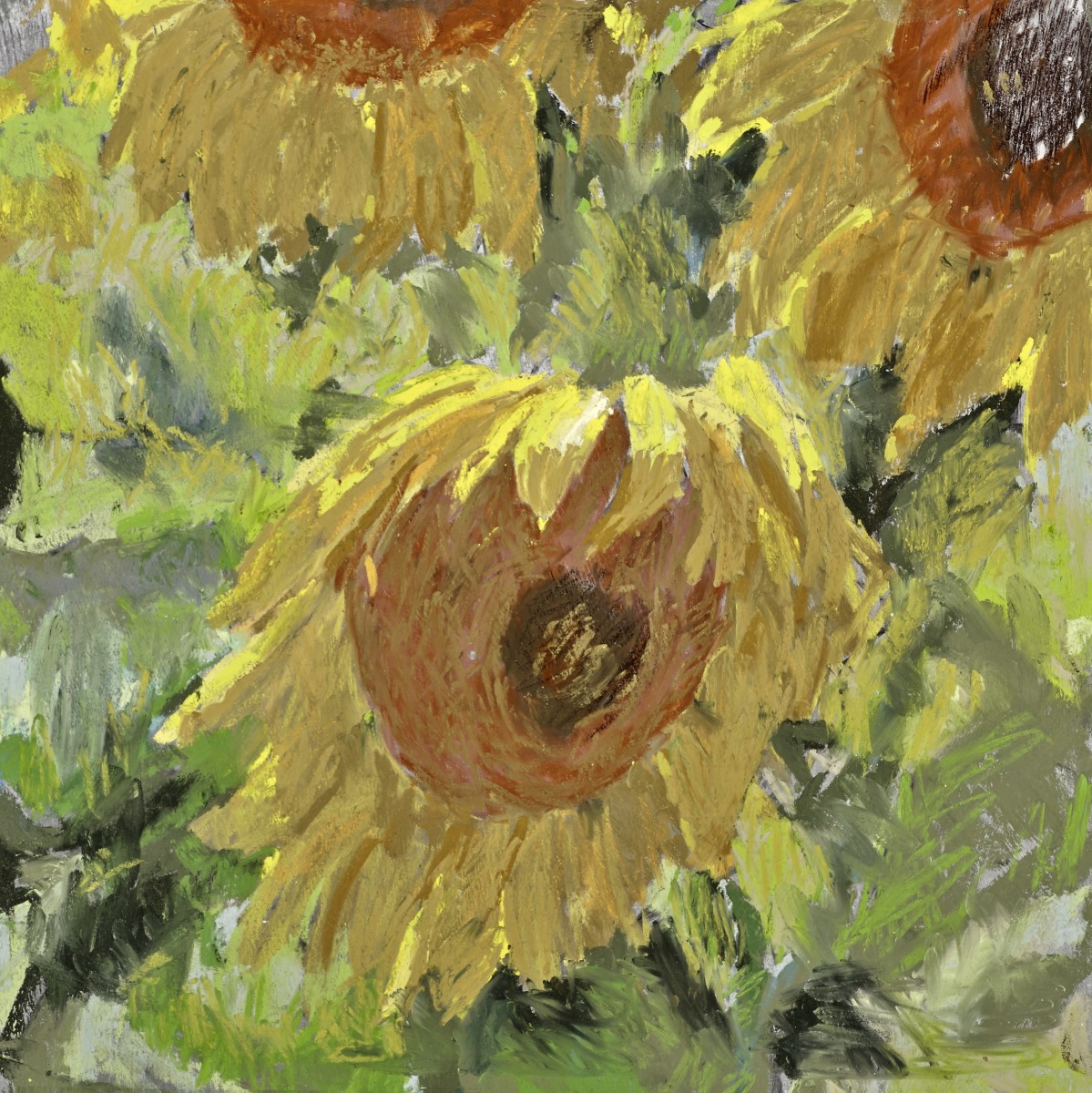 SUNFLOWERS by carol strock wasson 