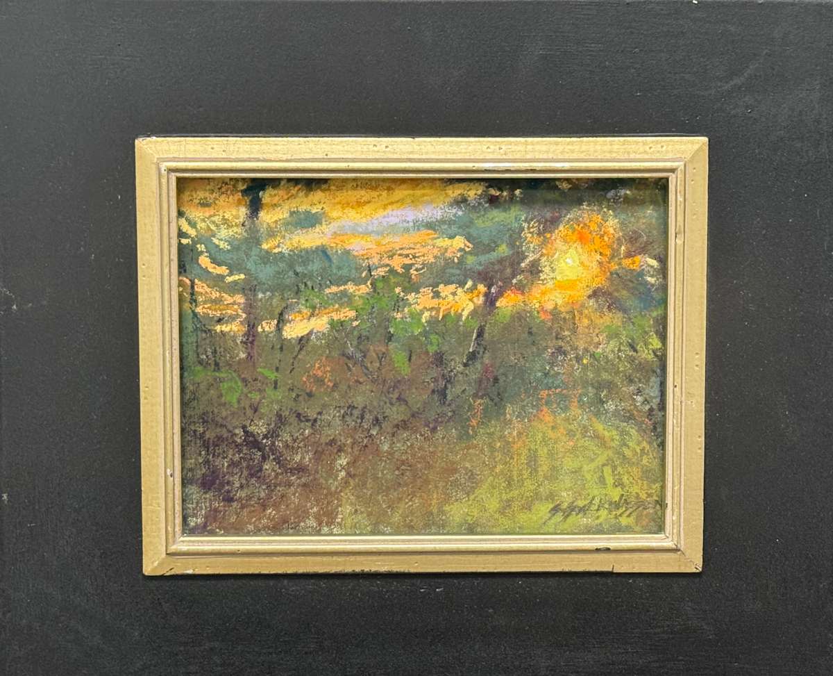 sunset and pines study by carol strock wasson 