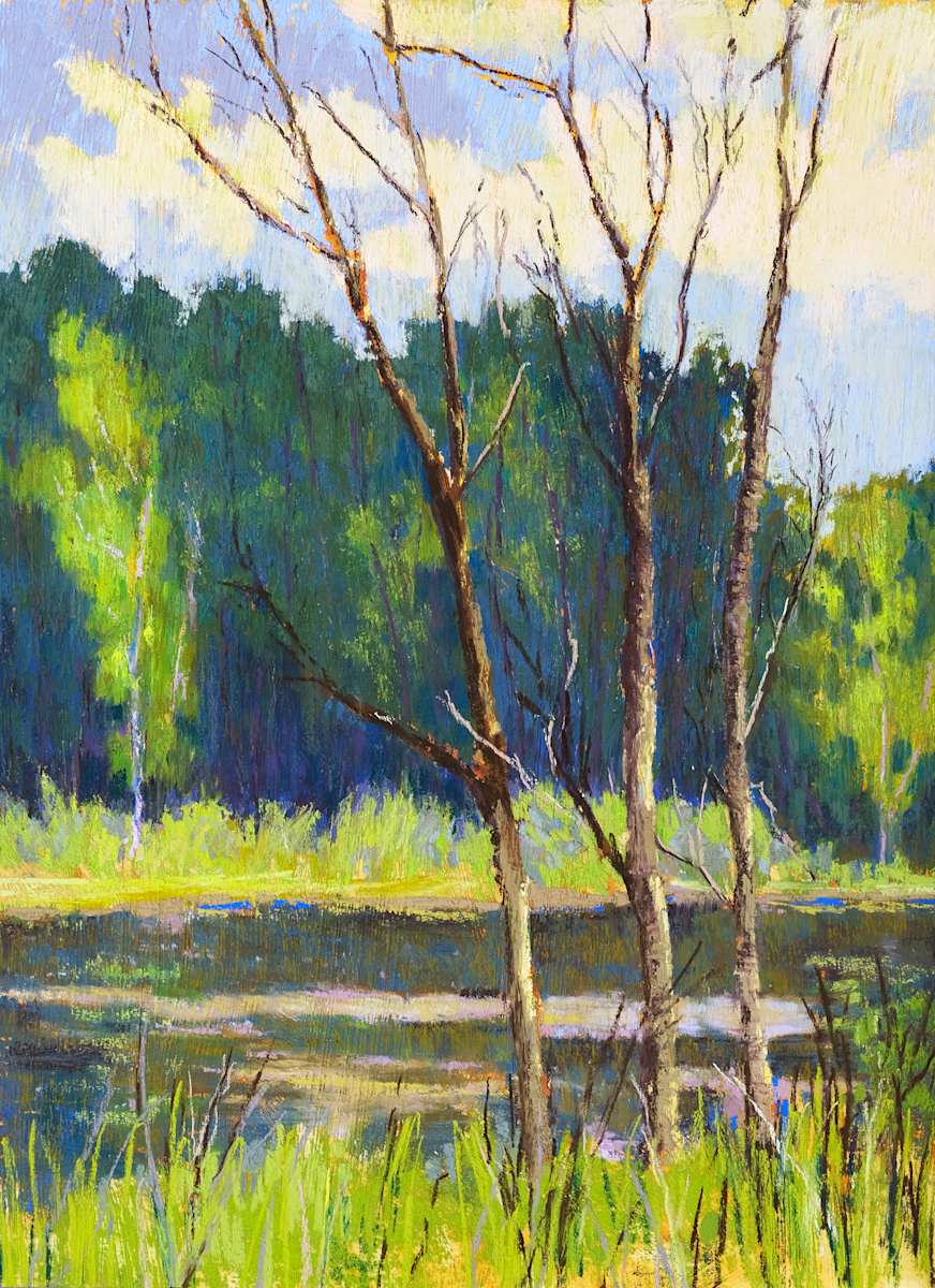 Wetlands by carol strock wasson 