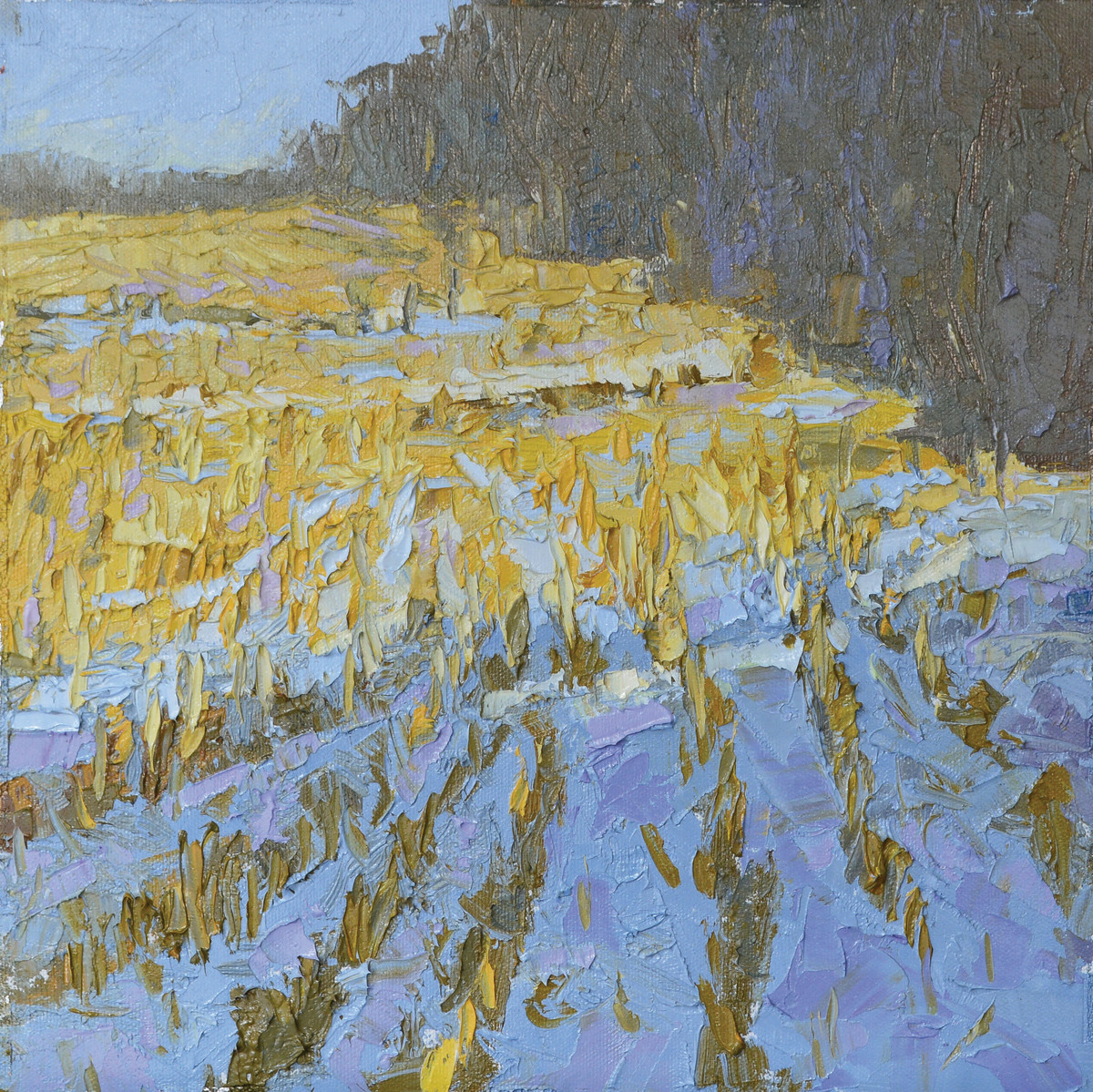 Winter Cornfield by carol strock wasson 