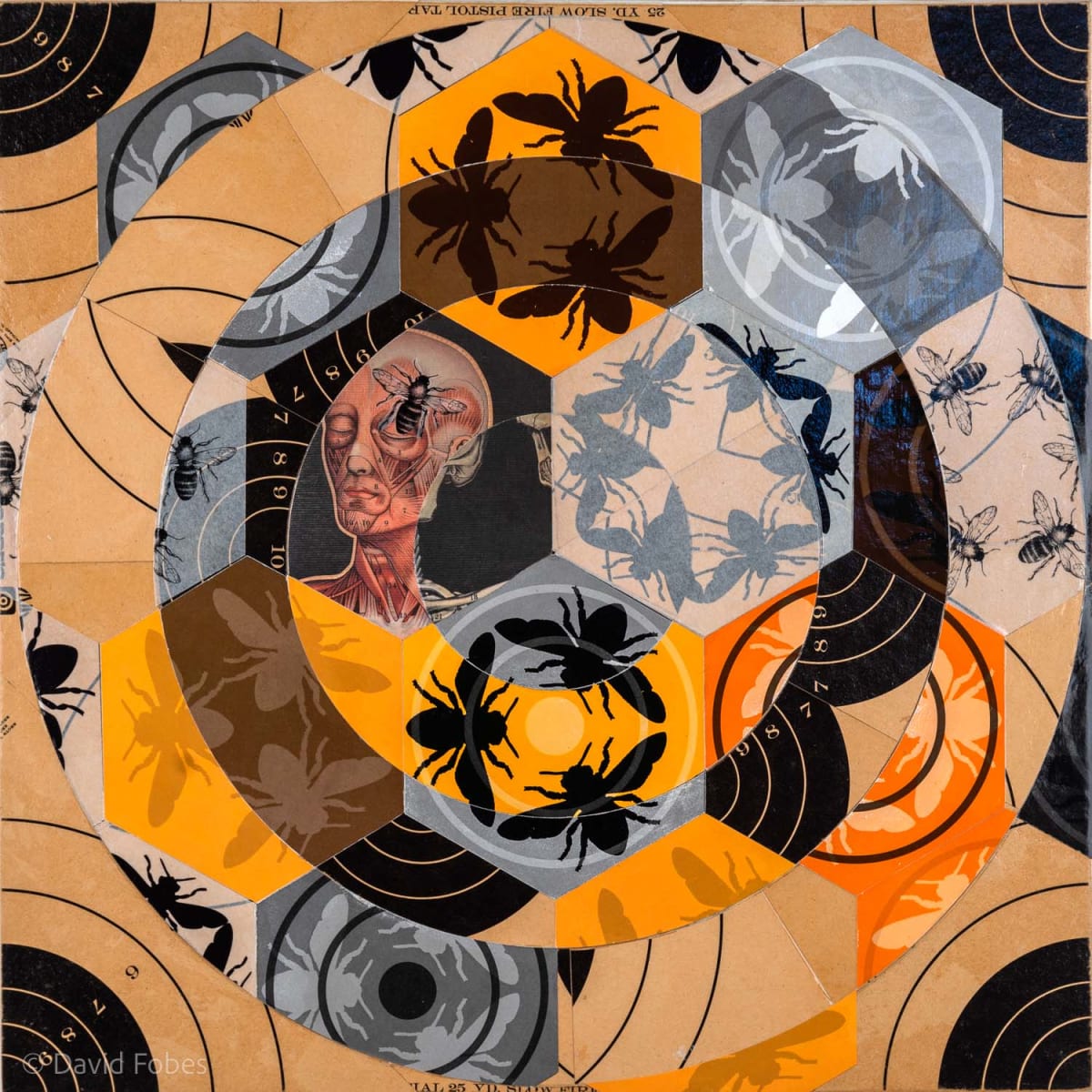Problems in Eden #3 by David Fobes, Image 1.