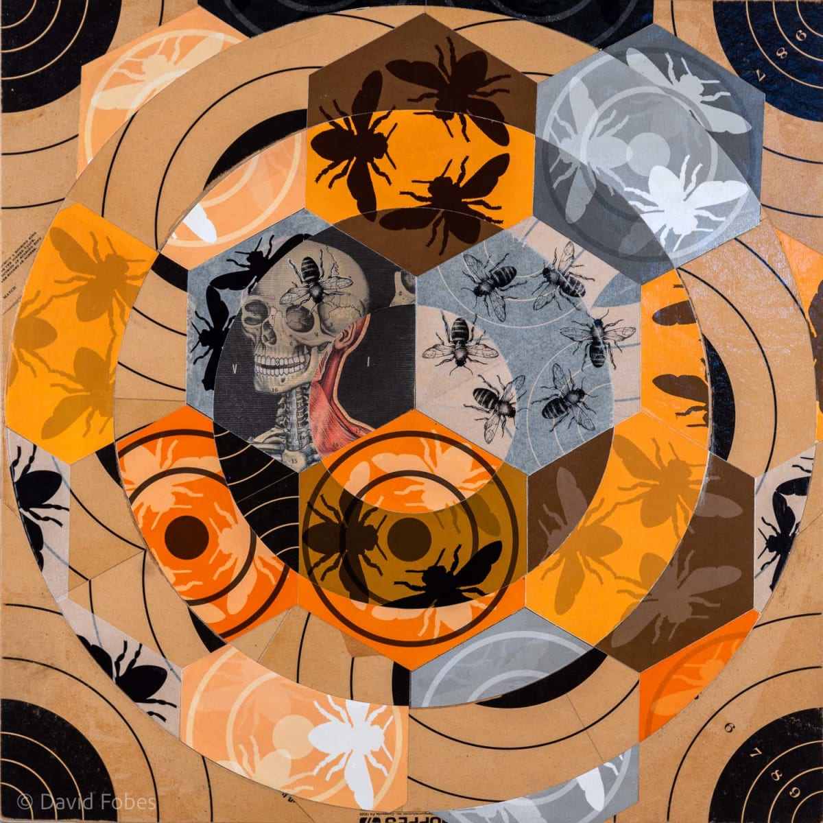 Problems in Eden #4 by David Fobes, Image 1.