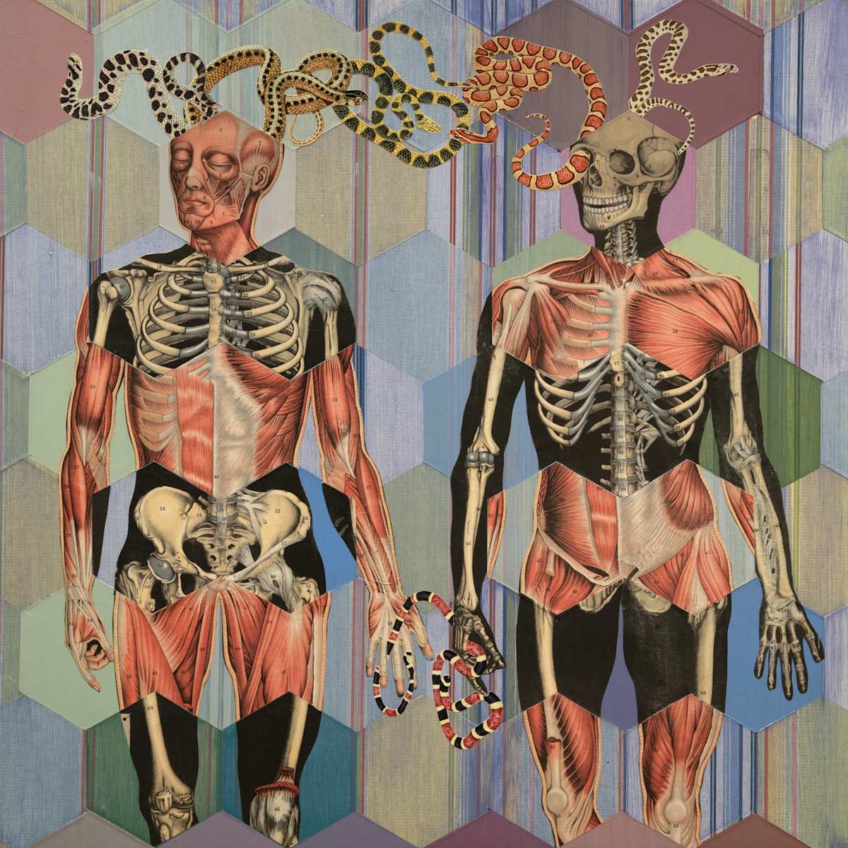 Reptilepathy by David Fobes, Image 1.