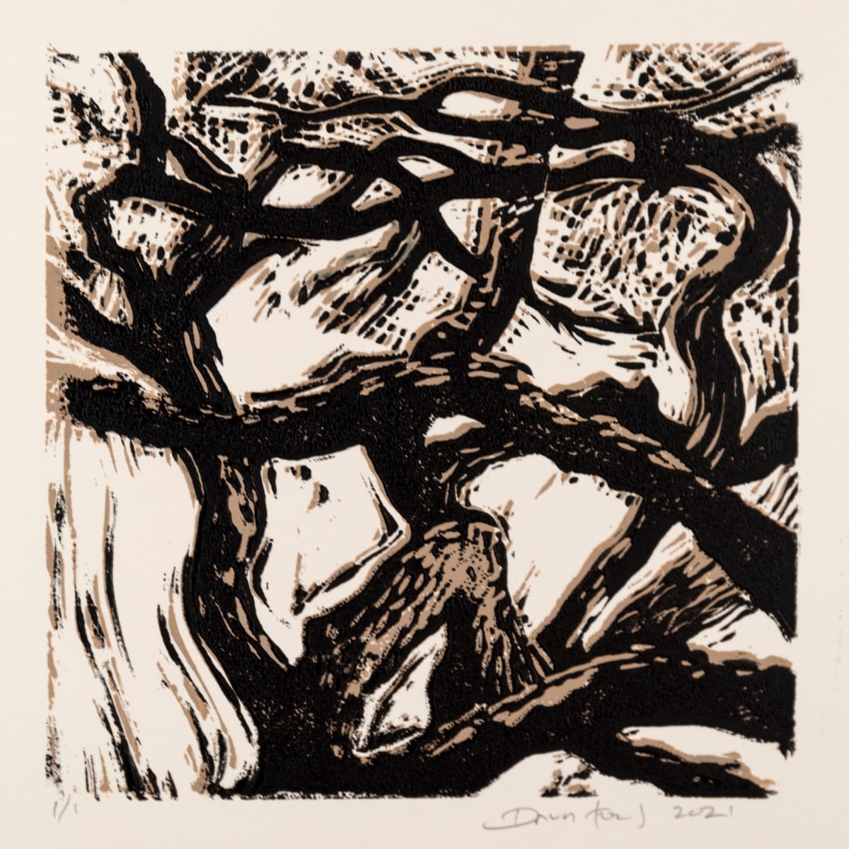 Canyon Oak 2021 Proof #1, Image 1.