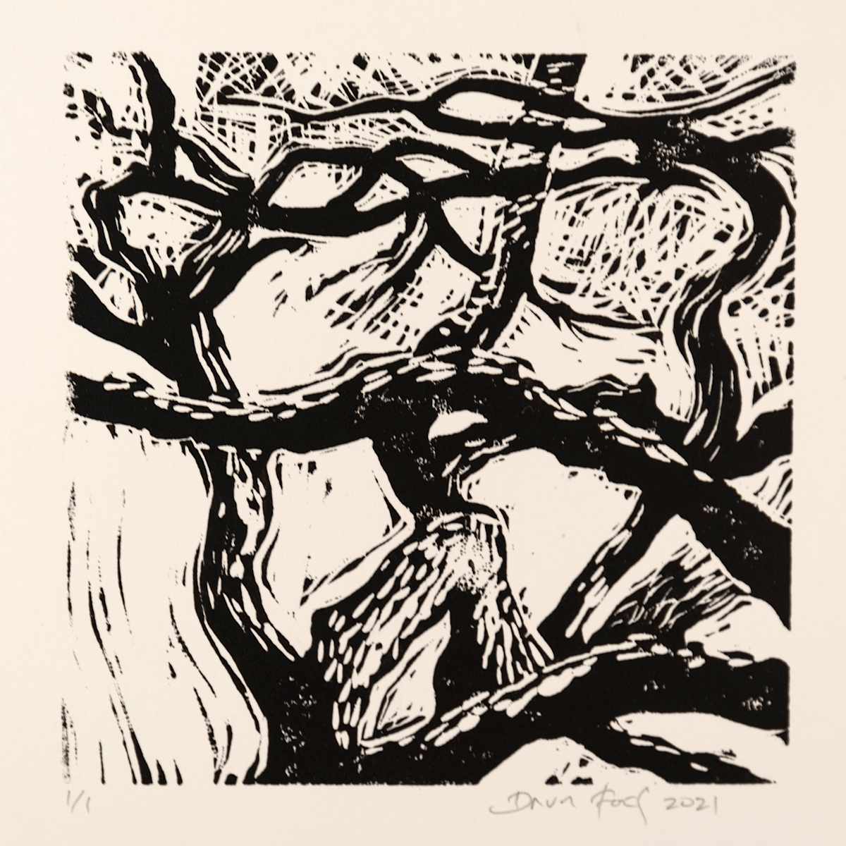 Canyon Oak 2021 Proof #2, Image 1.