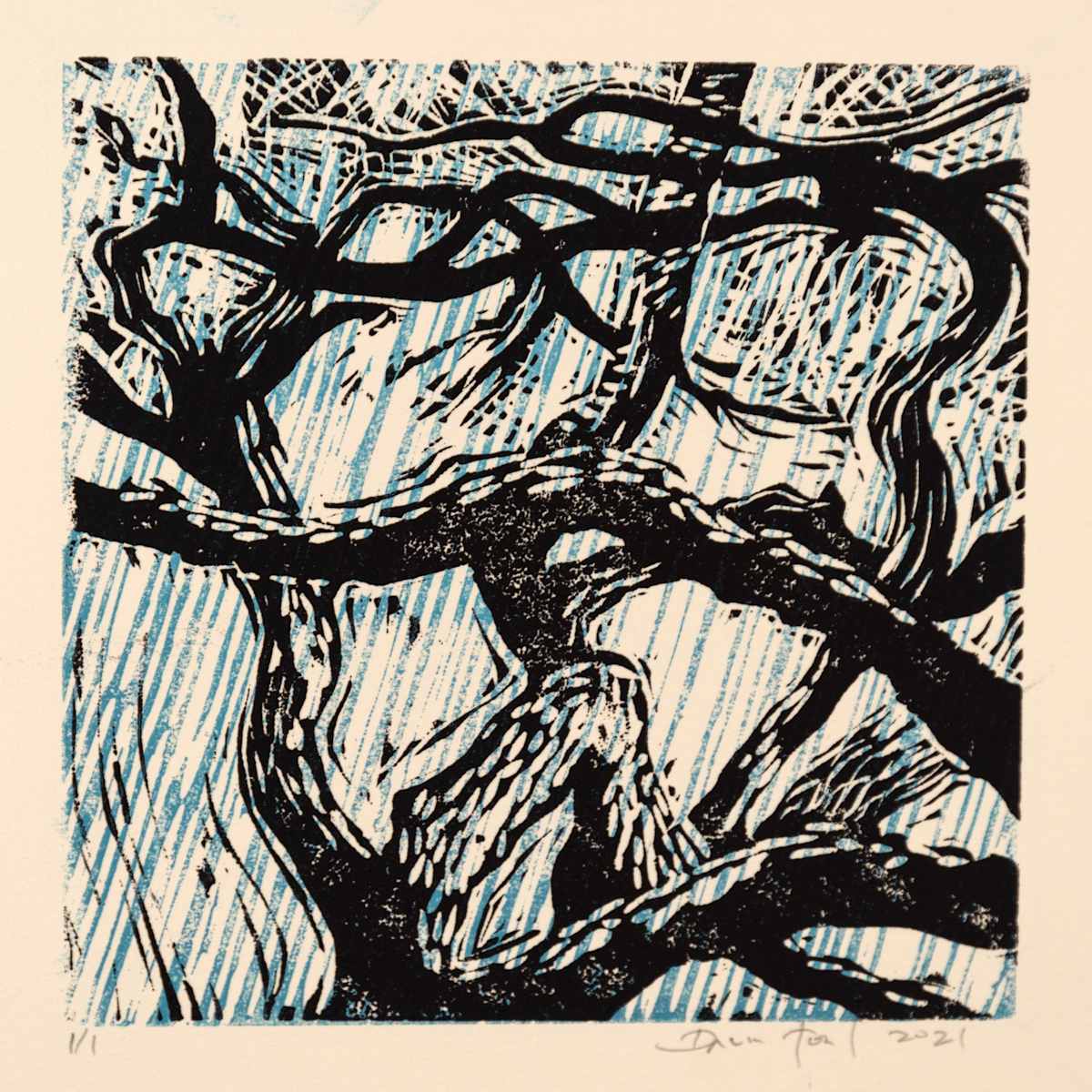 Canyon Oak 2021 Proof #3, Image 1.