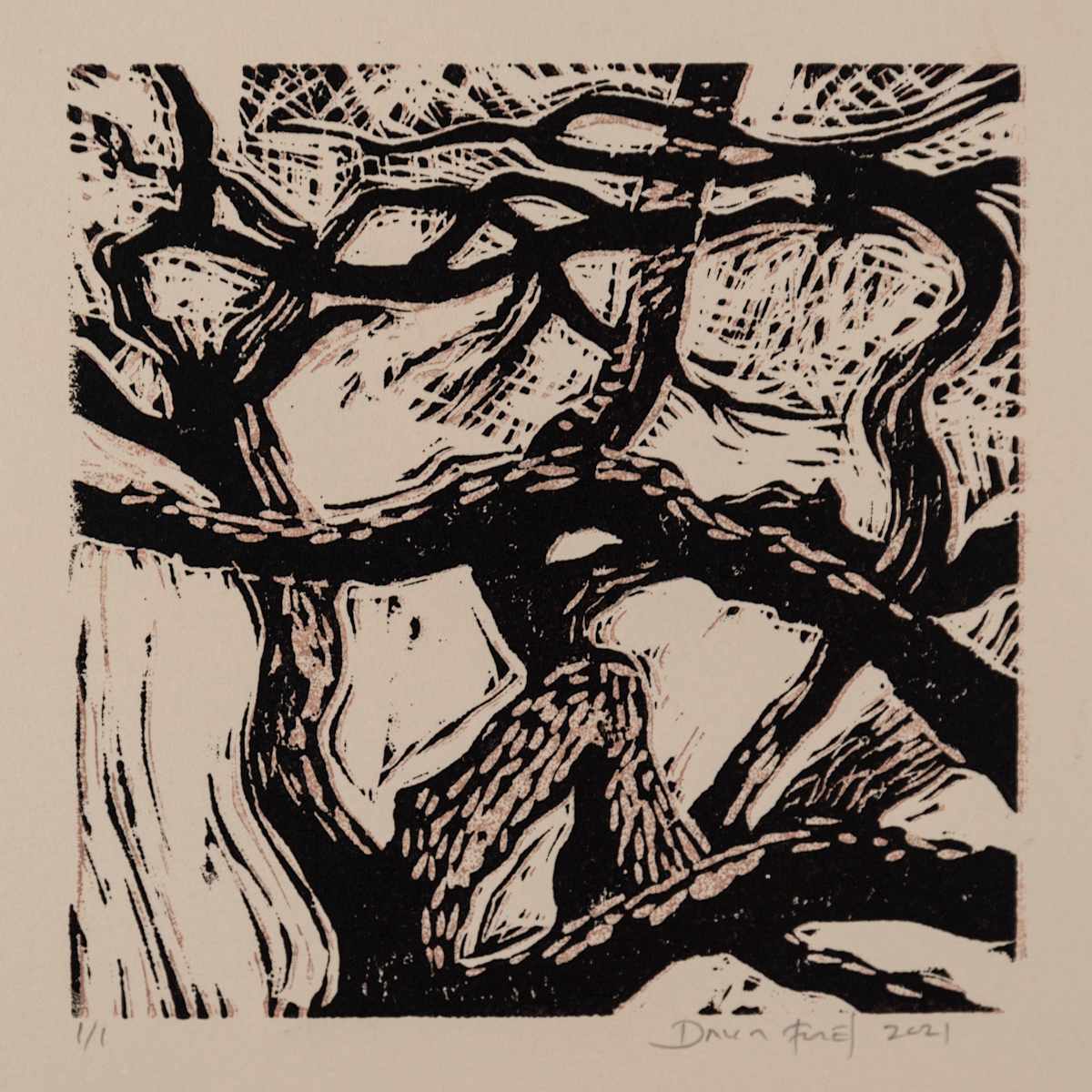Canyon Oak 2021 Proof #4, Image 1.