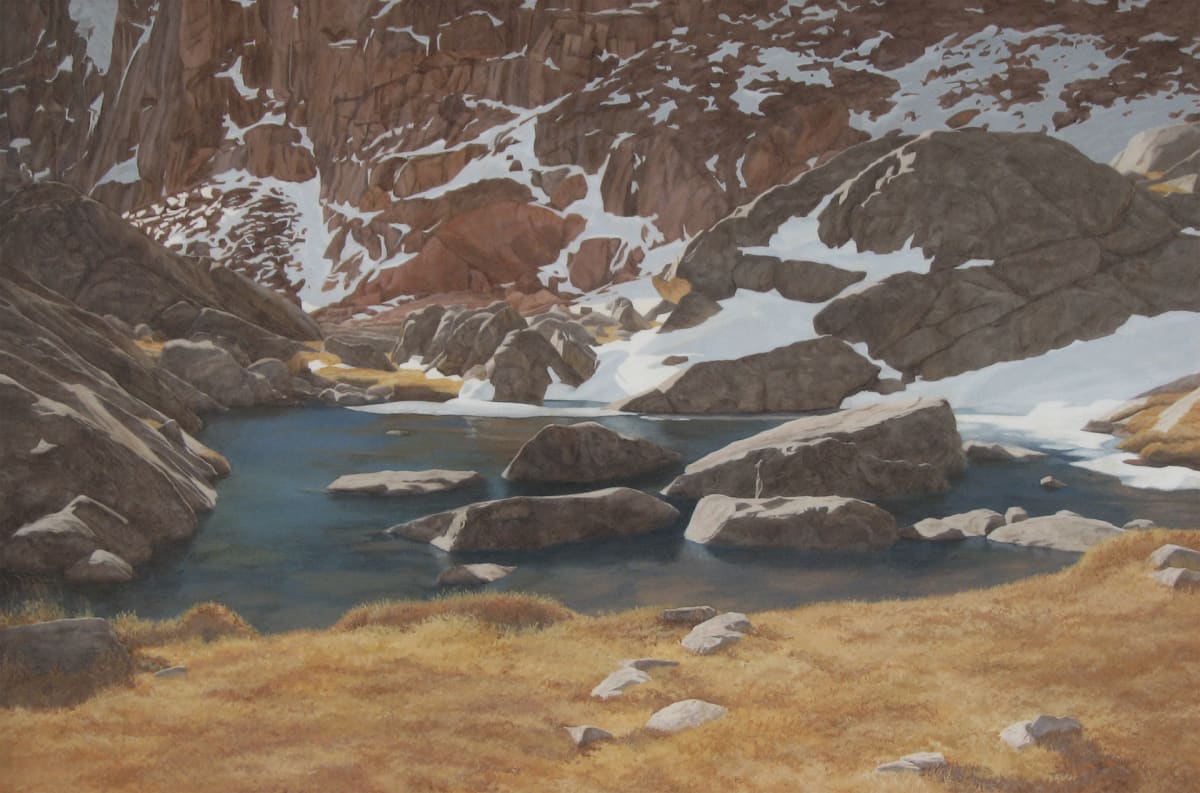 Above Timberline by Susan Kane 