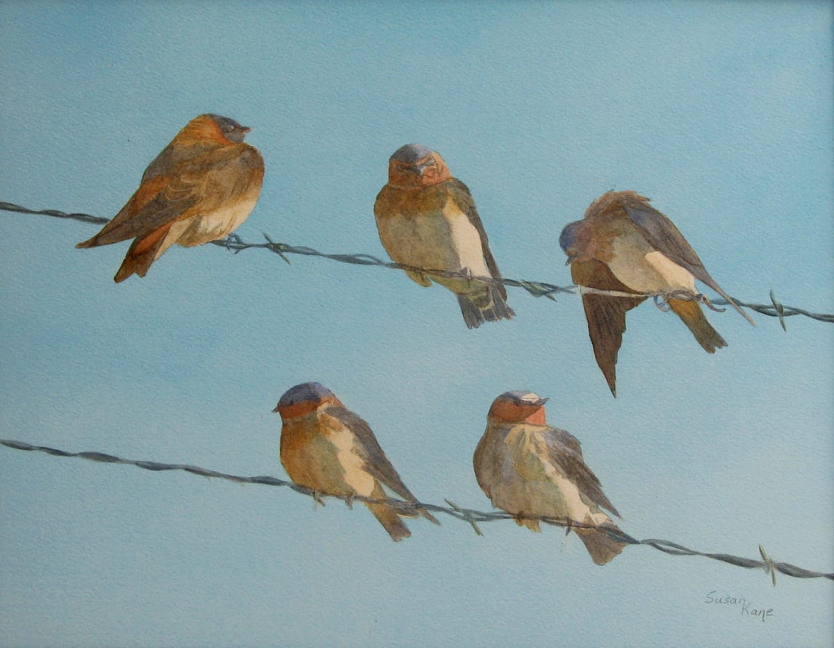 Birds on a Wire - Cliff Swallows 