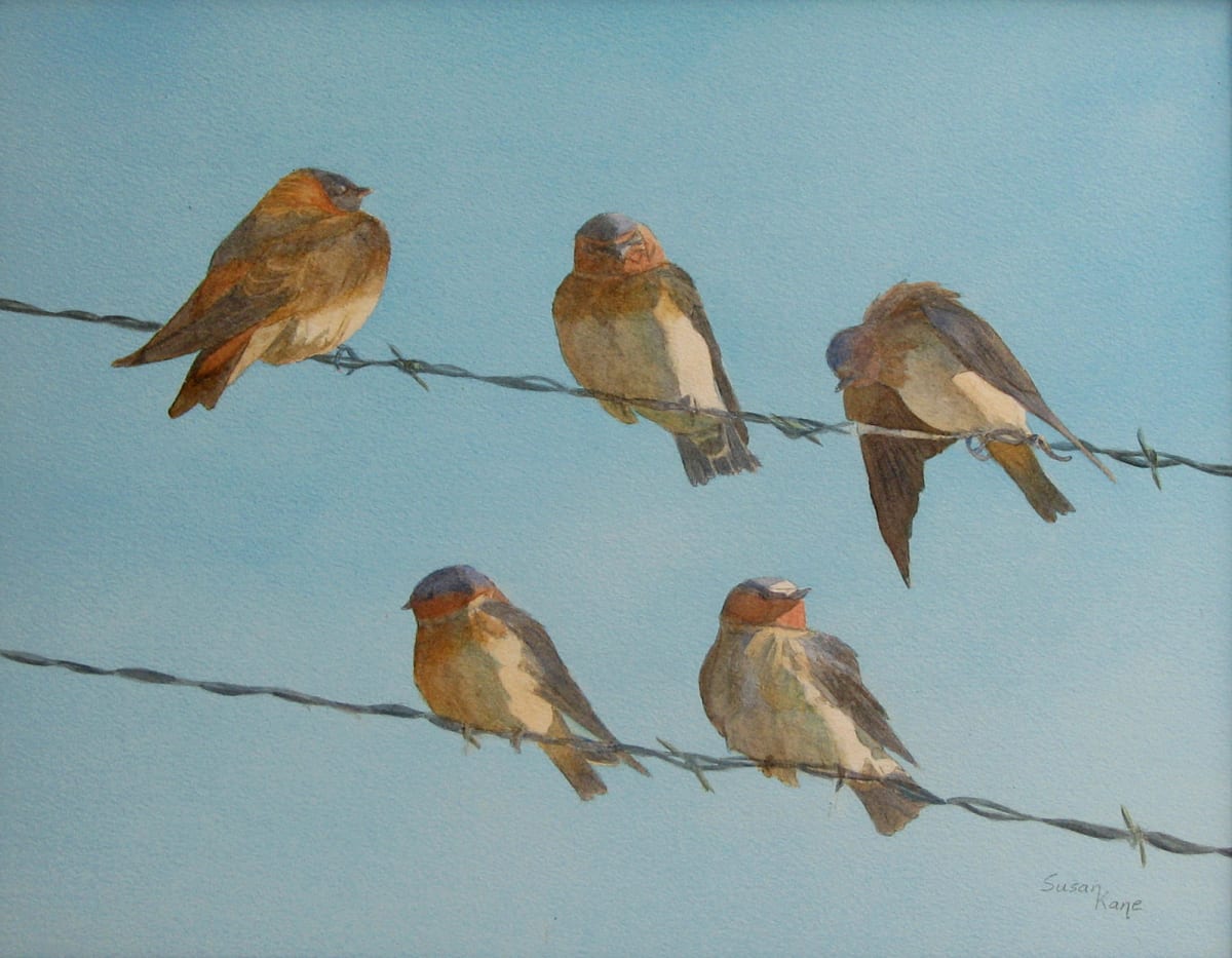 Birds on a Wire - Cliff Swallows by Susan Kane 