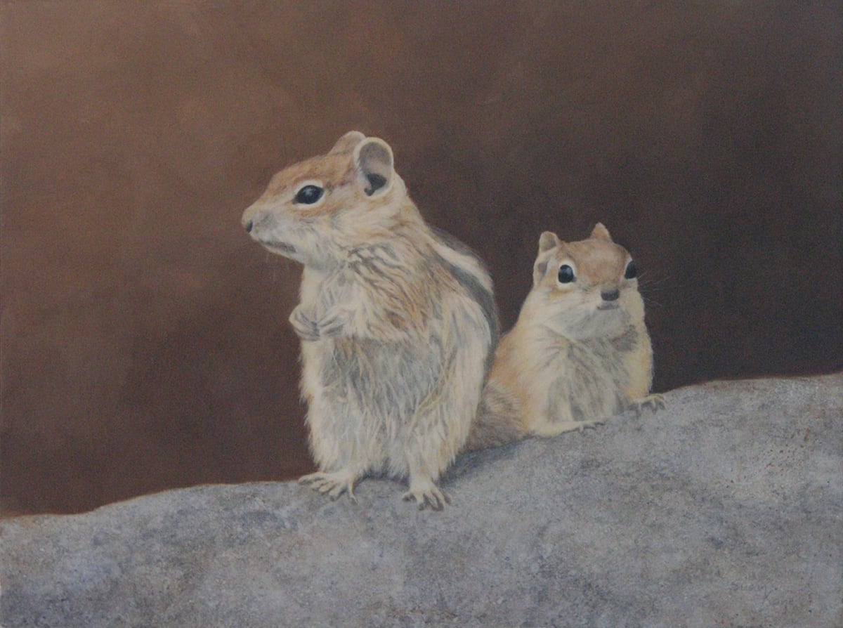 Campground Robbers by Susan Kane 