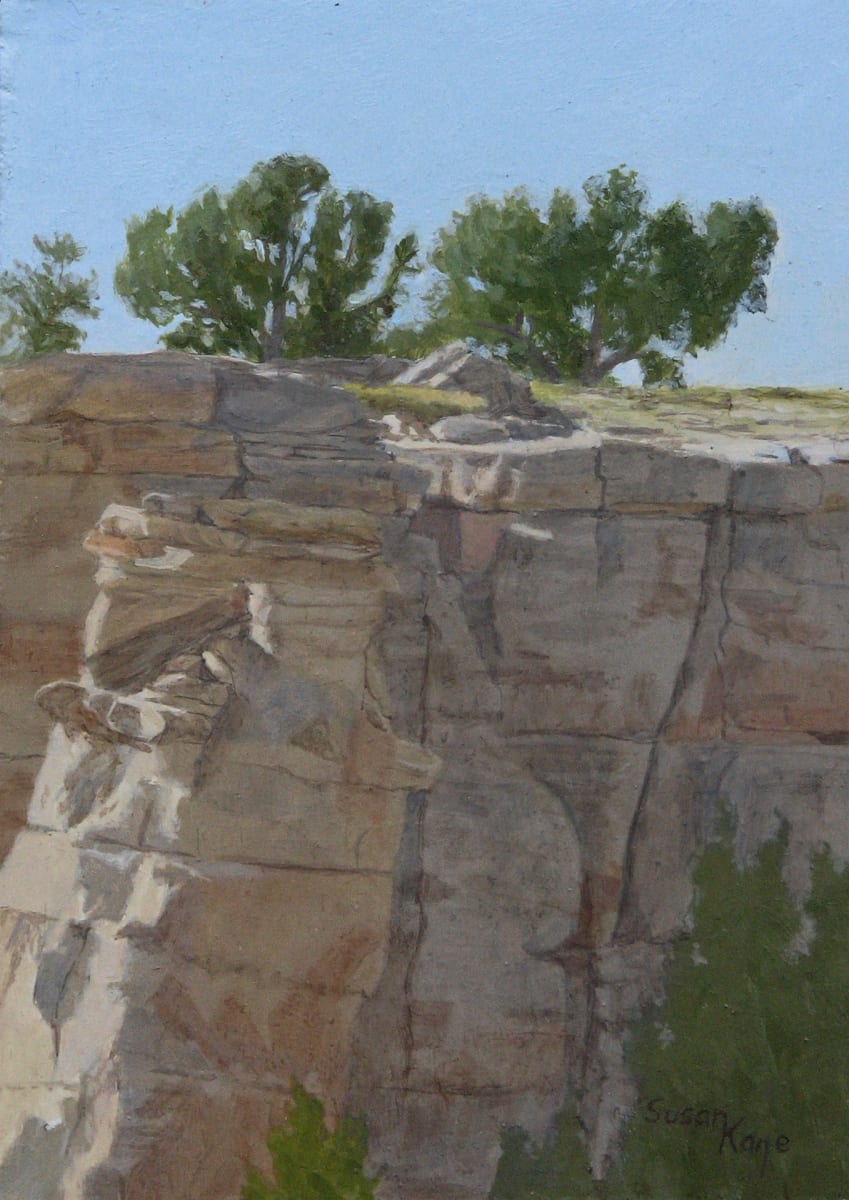 Clifftop by Susan Kane 