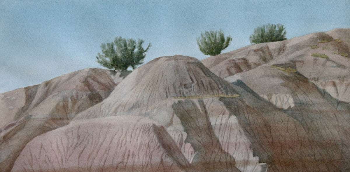 Grey Ridge, Petrified Forest by Susan Kane 