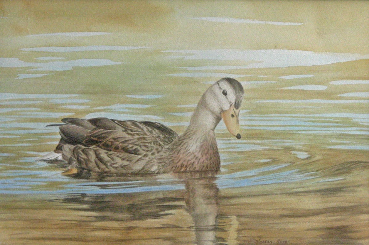 Mallard by Susan Kane 