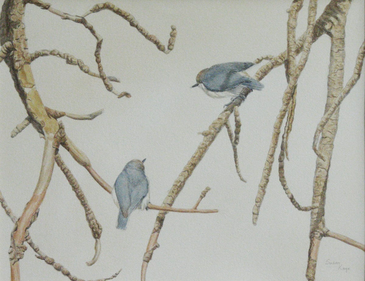 Pygmy Nuthatches by Susan Kane, Image 2.