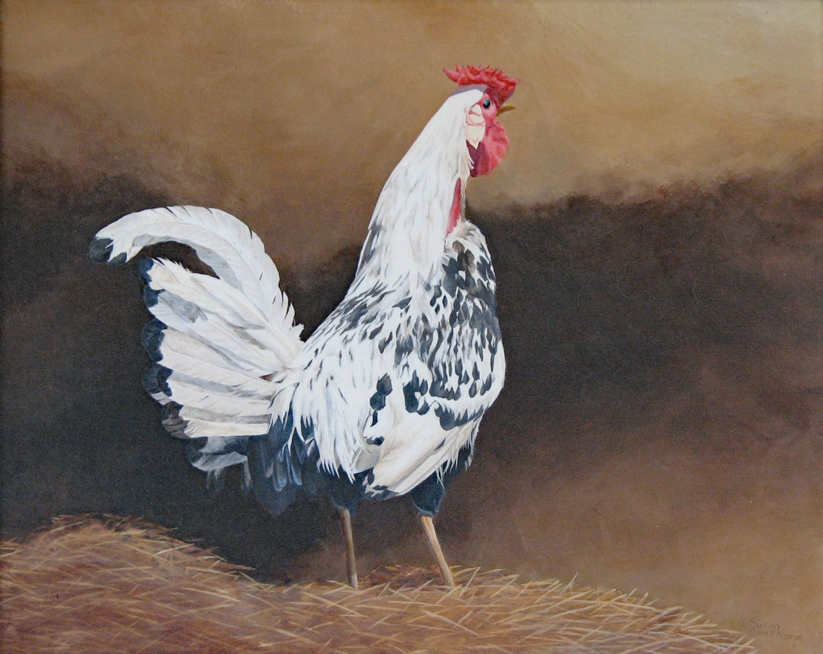 Rooster by Susan Kane 