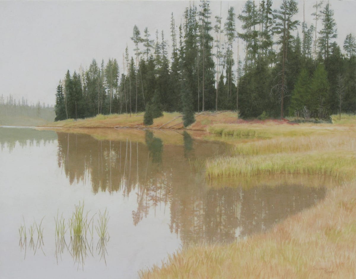 Snake River by Susan Kane 