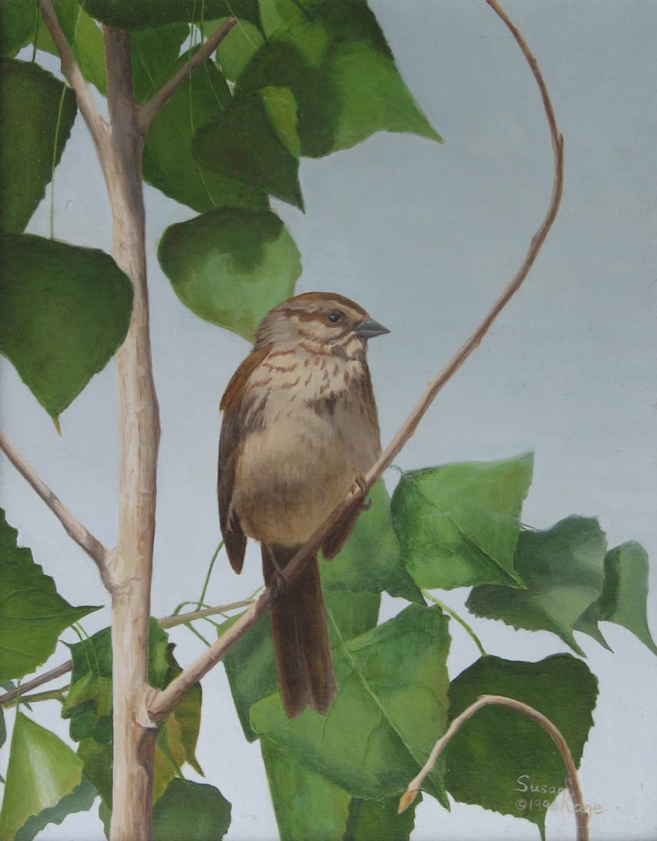 Sparrow by Susan Kane 