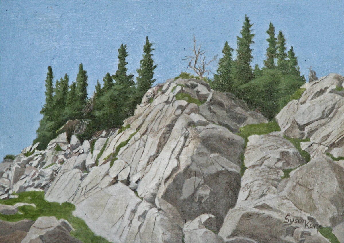 Upper Forest Canyon by Susan Kane 