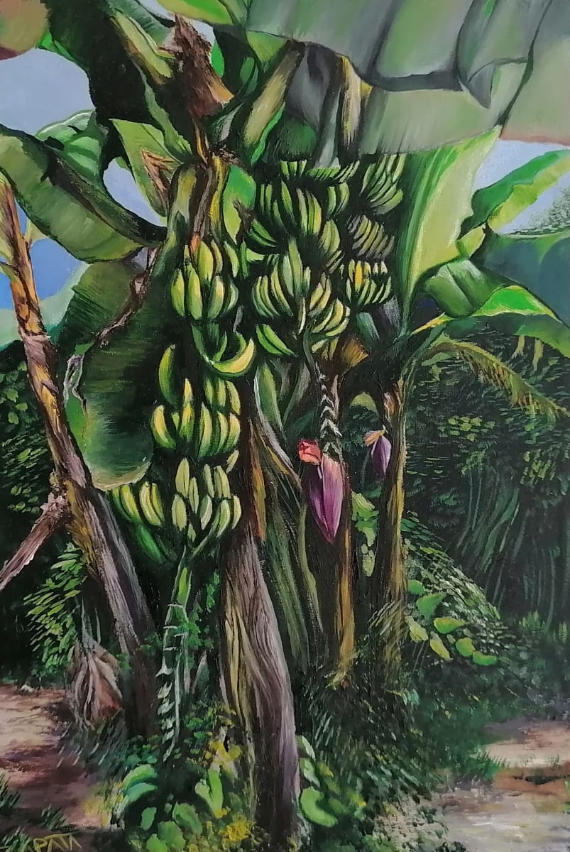 Banana tree, Oaxaca by Victor Zapata  Image: Sunlight filters down though this banana tree. This kind of trees grow all over the Coast of Oaxaca. I wanted to paint this piece in order to express the feeling of being beneath these banana tree leaves.