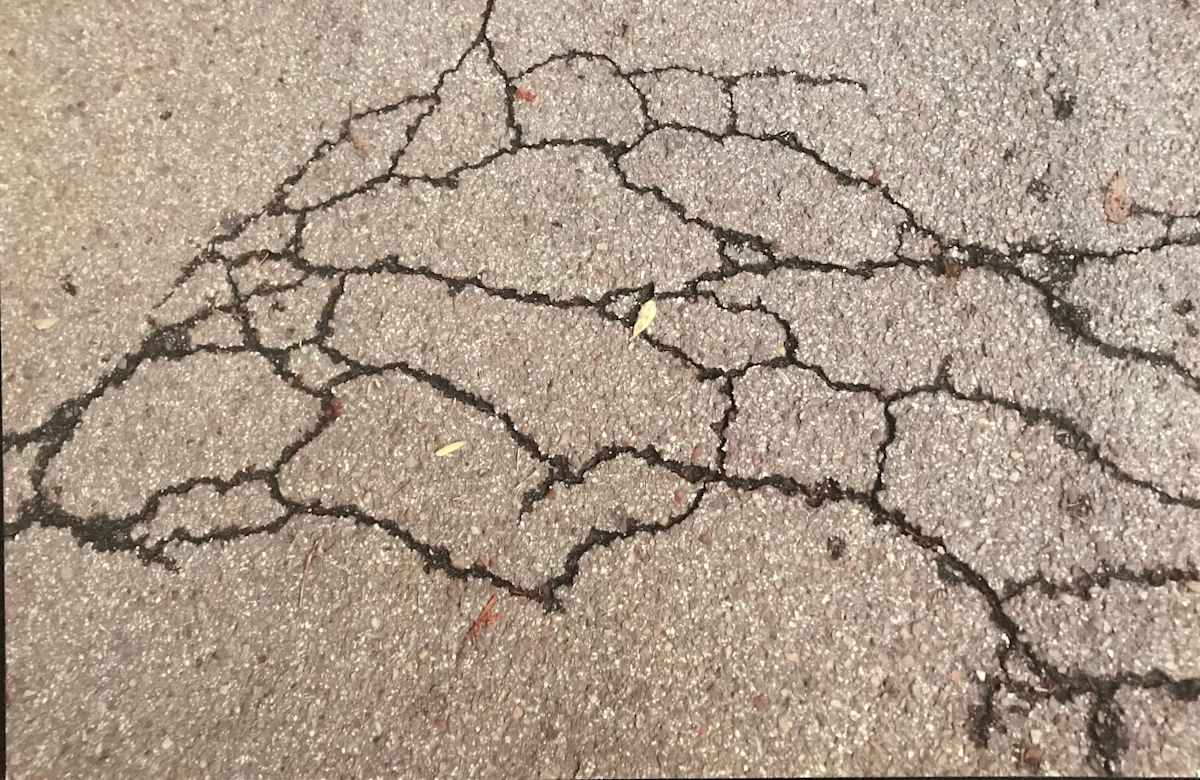 Broken Canvas by Sonya Lee, Image 4.