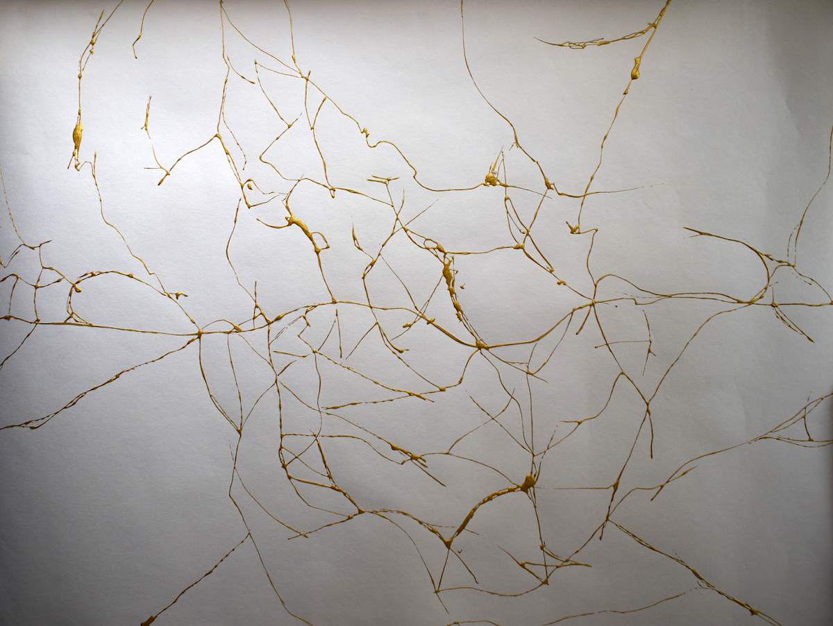 Gold Cracks 