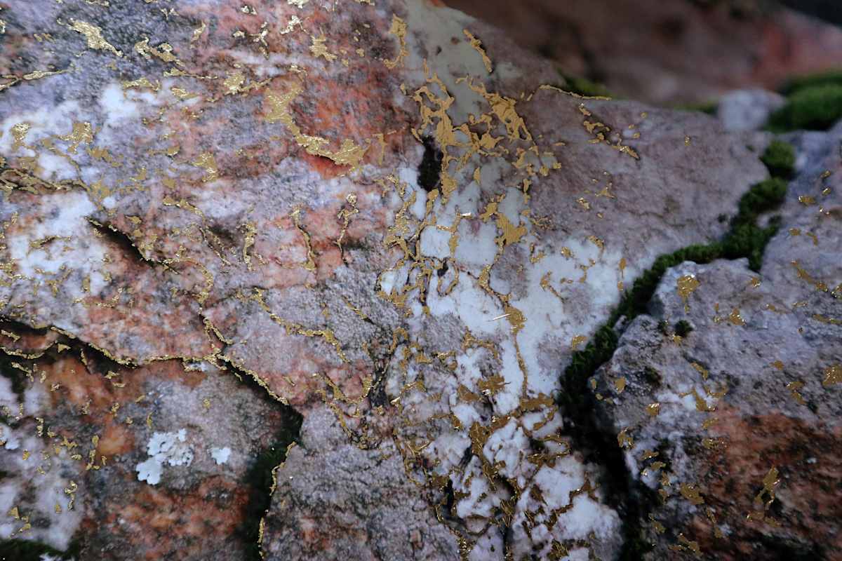 Scars, Image 3.
