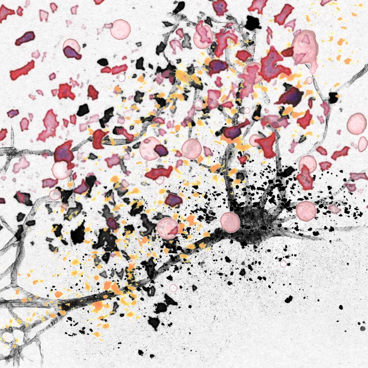 What goes on in our brains? 