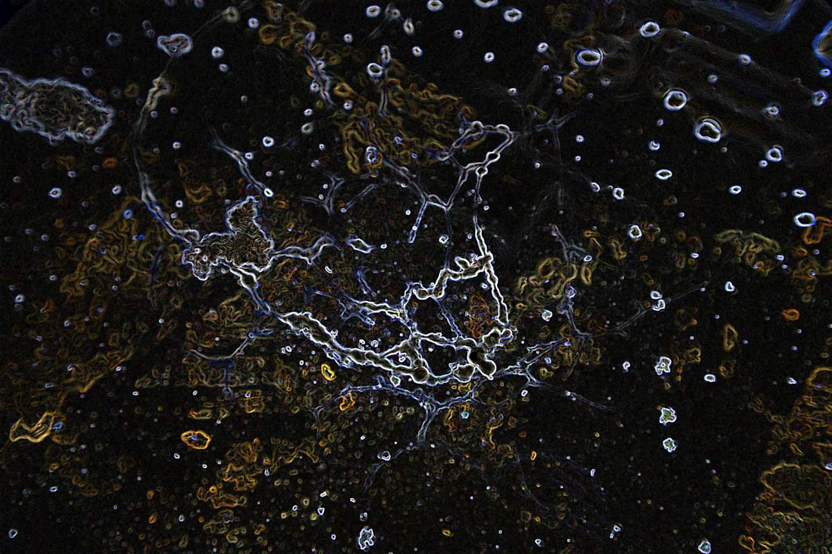 viruses_10_mgiqlw_2, Image 8.