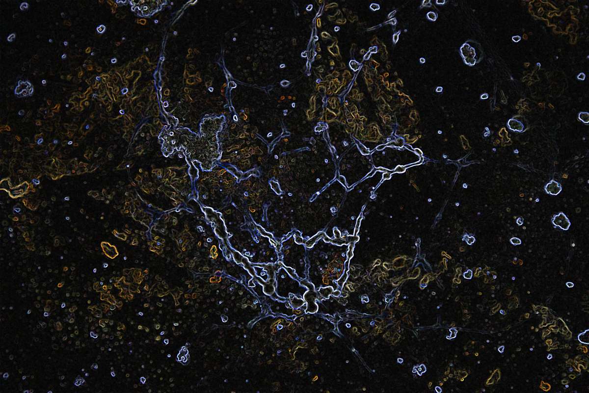 viruses_2_kujtyr_5 