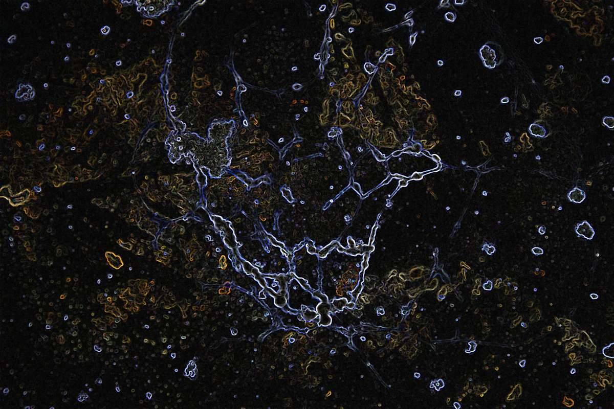 viruses_2_kujtyr_5, Image 5.