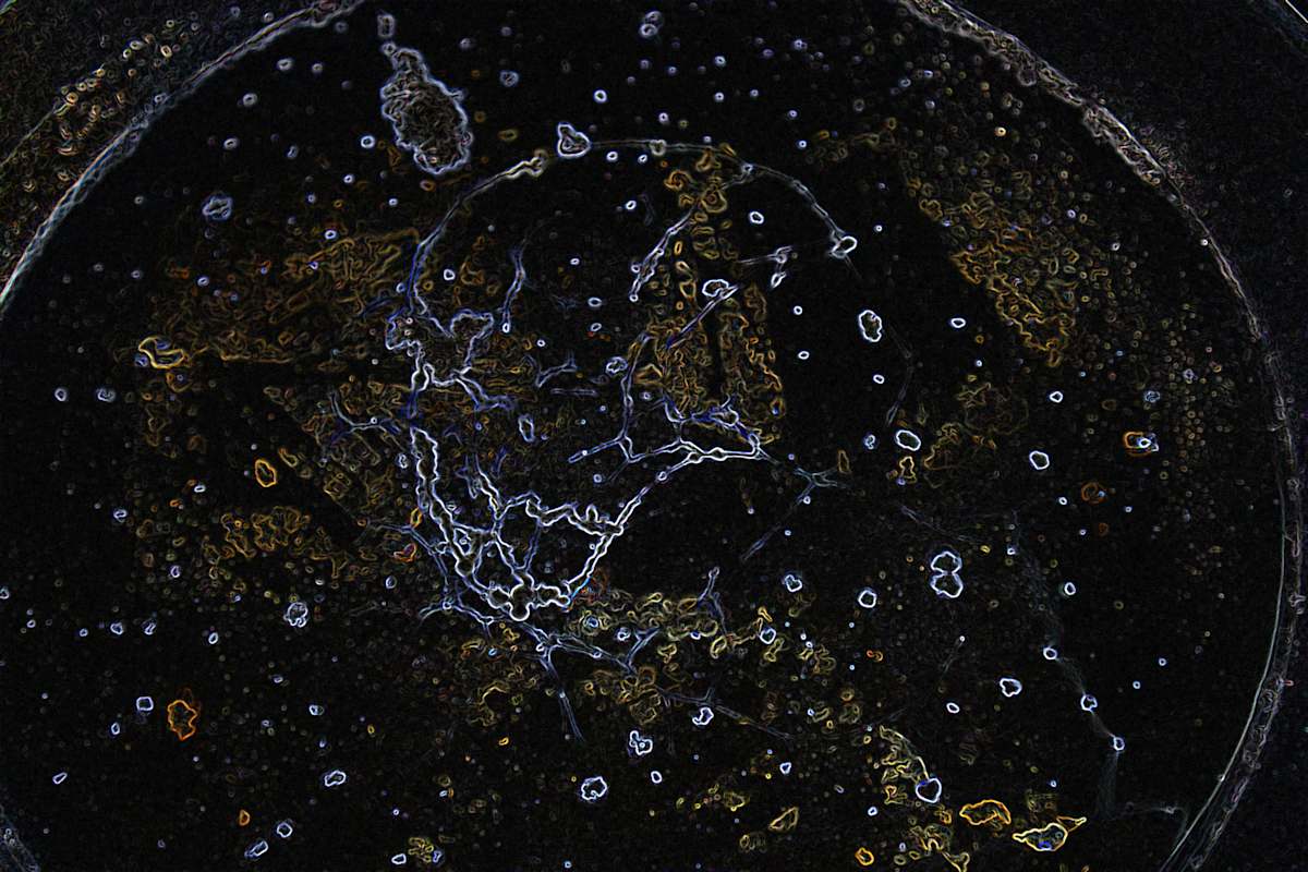 viruses_3_v8oeeq_3, Image 7.