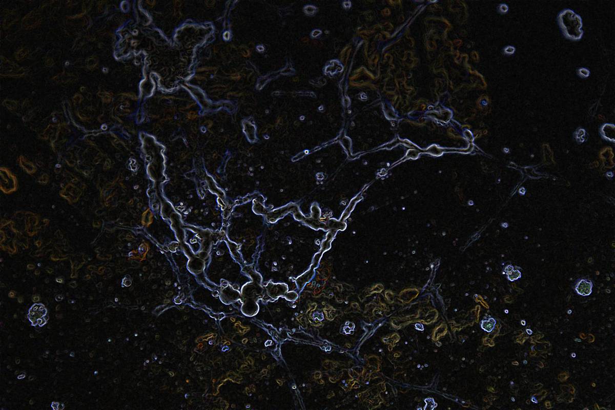viruses_4_bzs1lc_4, Image 6.