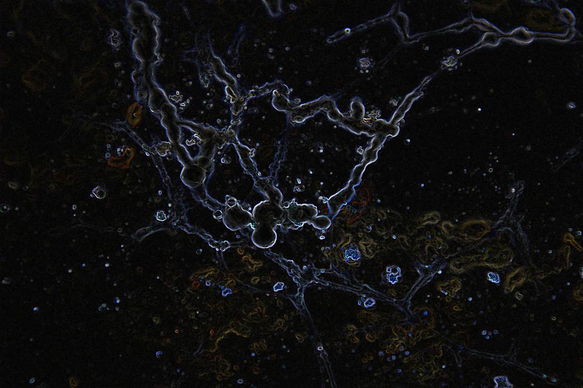 viruses_5_tcvclf_1, Image 9.