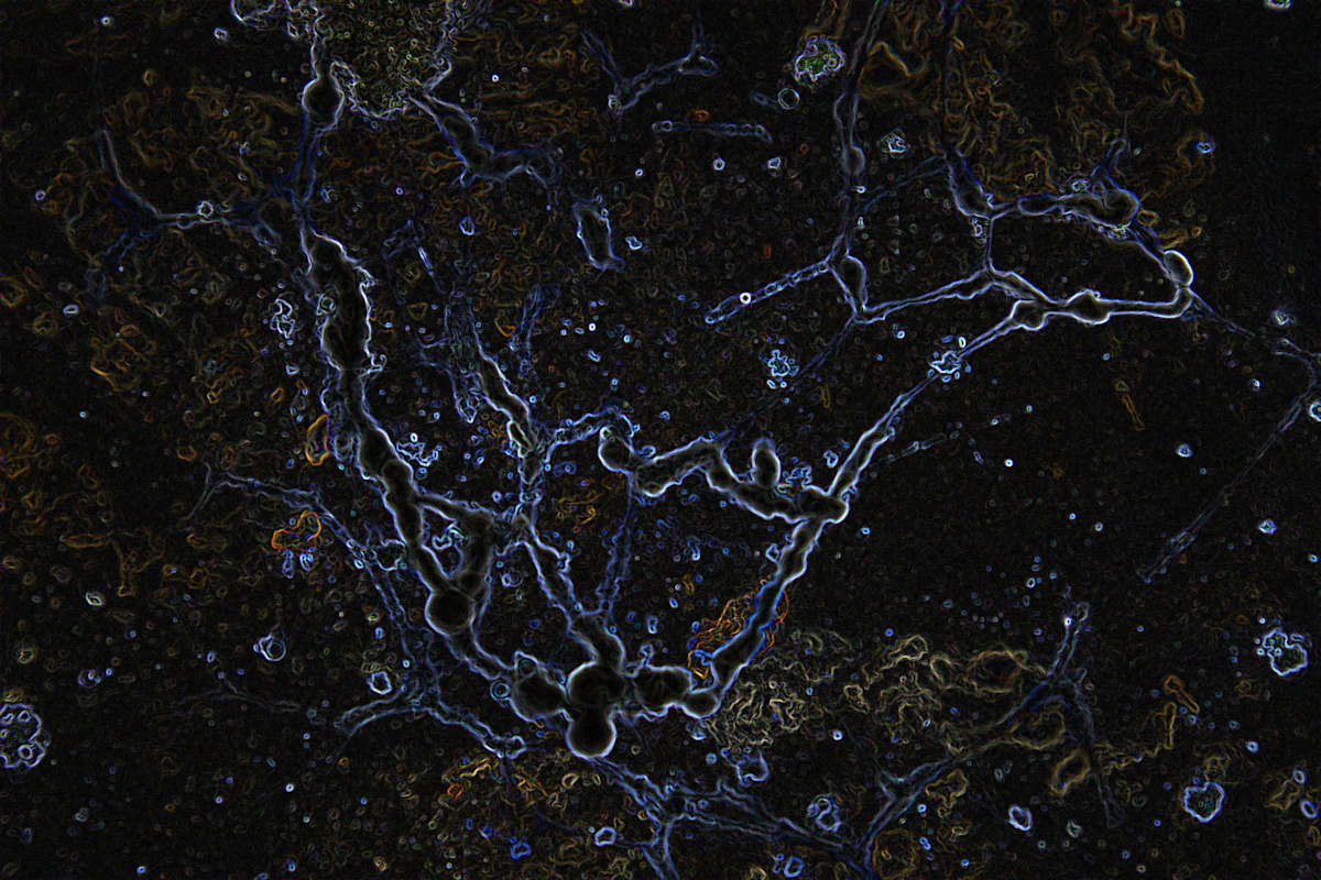 viruses_6_uo8cpo_0, Image 10.