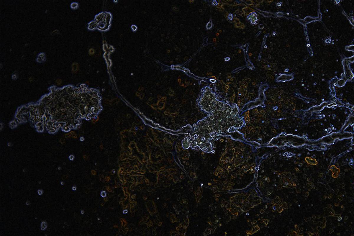 viruses_8_hdflz6_7, Image 3.